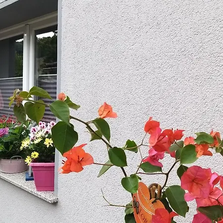 Lägenhet Ferienwohnungreinel *