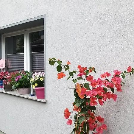 Apartment Ferienwohnungreinel