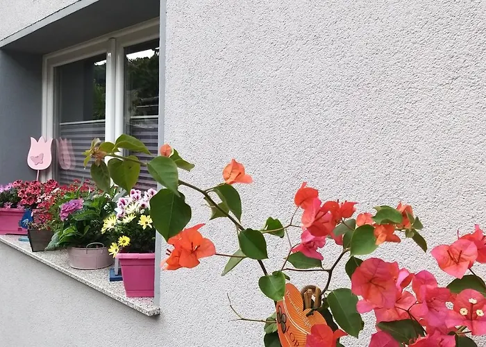 アパート Ferienwohnungreinel *